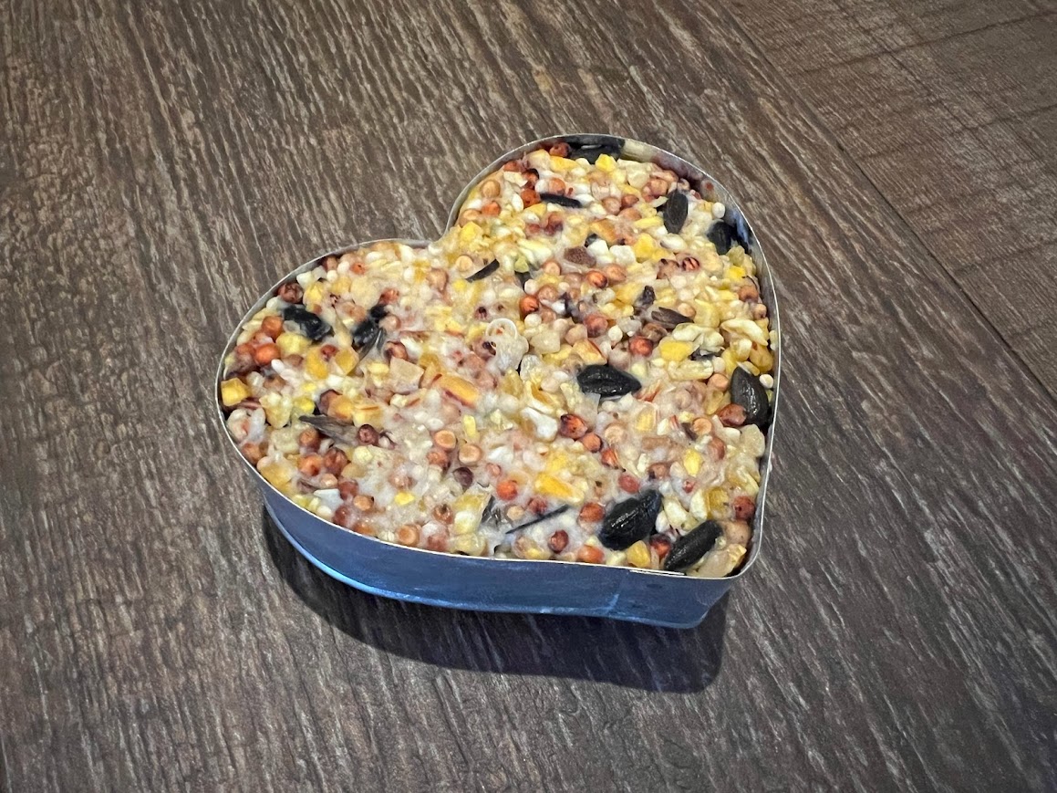 Handcrafted Birdseed Suet Cakes: A Treat for Our Feathered Friends