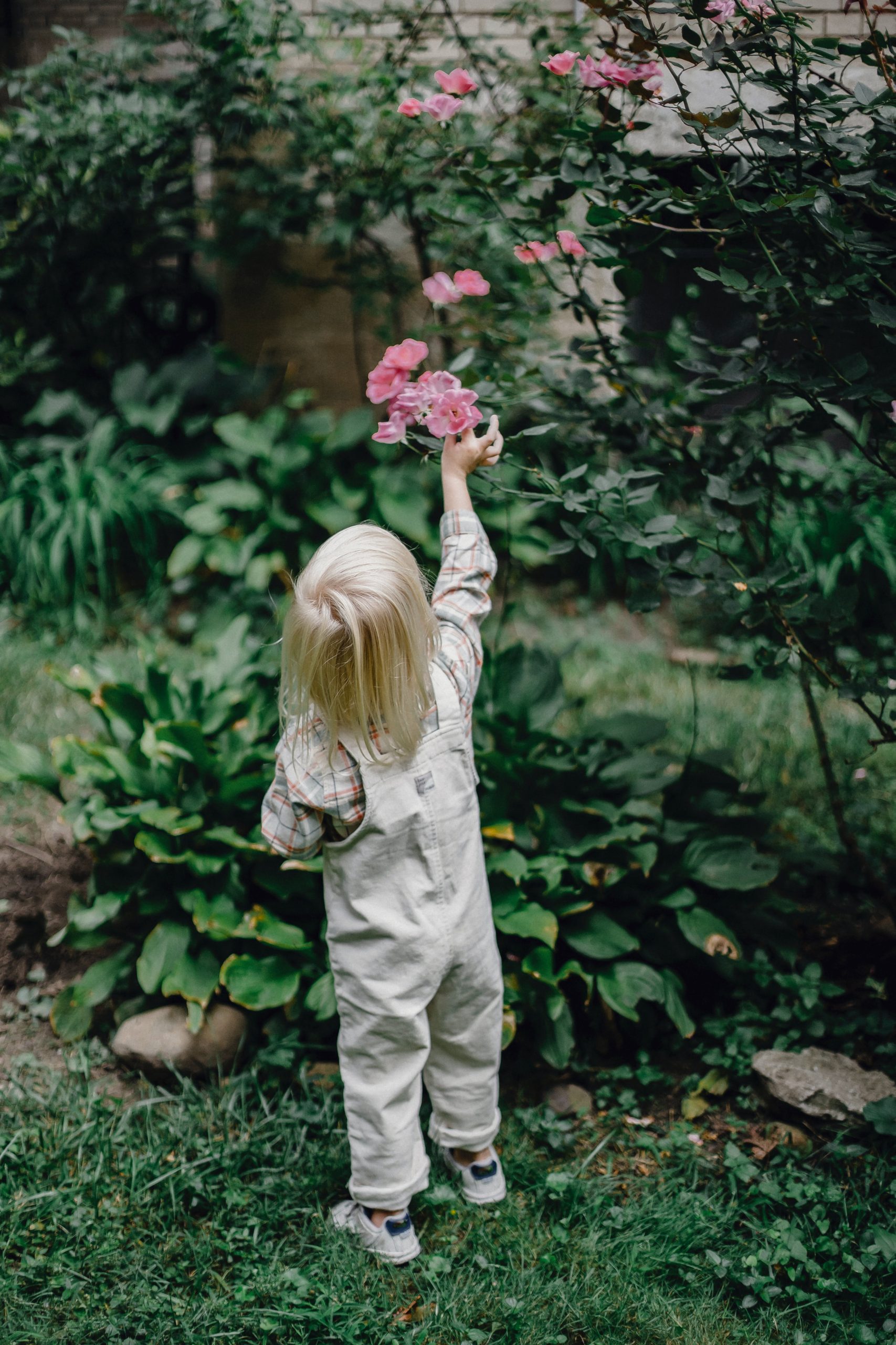 Harnessing the Power of 13-13-13 Fertilizer: A DIY Homeowner’s Comprehensive Guide