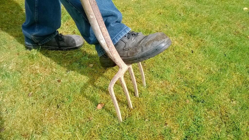garden, fork, lawn, lawn maintenance, gardening, green, equipment, work, tool, nature, spring, outdoor, gardening tools, moss, drainage, aerate, digging, soil, dirt, digging fork, lawn, lawn maintenance, gardening, gardening, gardening tools, gardening tools, gardening tools, aerate, aerate, digging, digging, digging, digging, digging