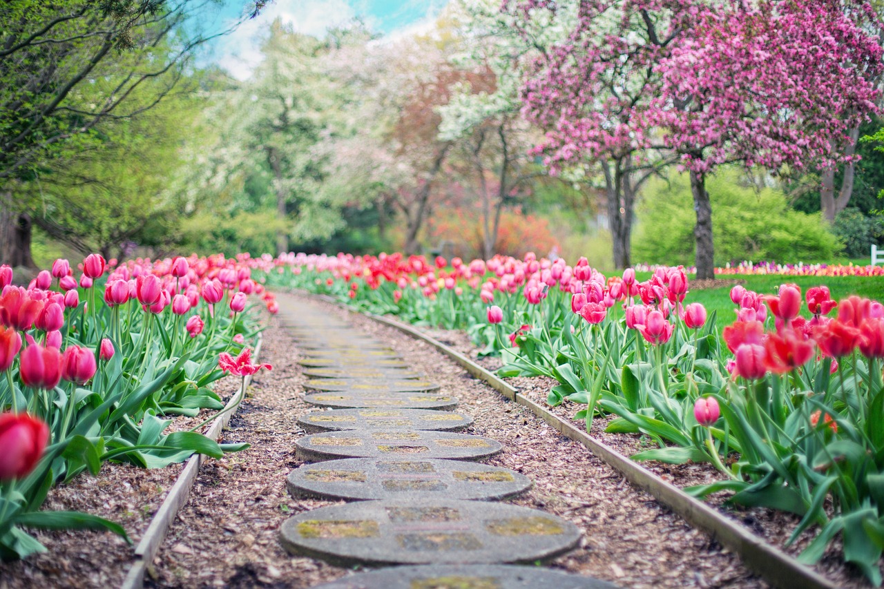 Fertilizer Follies: What’s the Best Way to Feed Your Garden