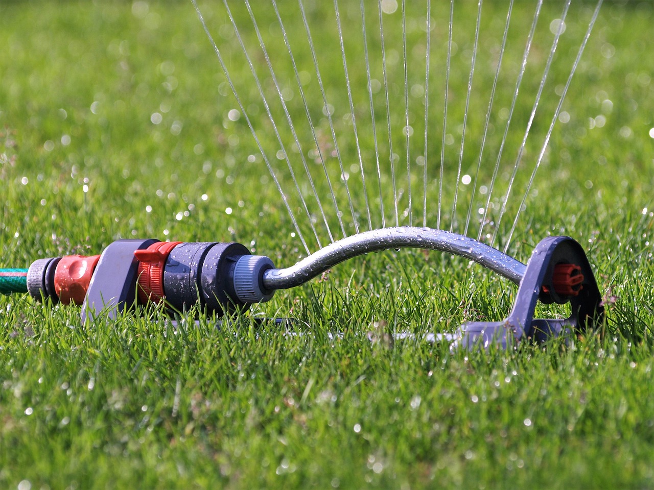 Year-Round Lawn Care: The Ultimate Seasonal Watering Guide for Cool-Season Grass