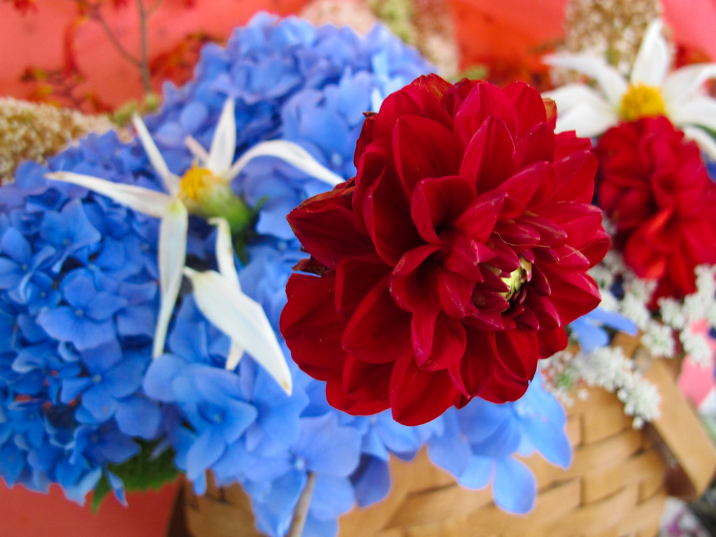 Turn Heads with These Stunning Red, White & Blue Planters – Your Neighbors Will Be Jealous!