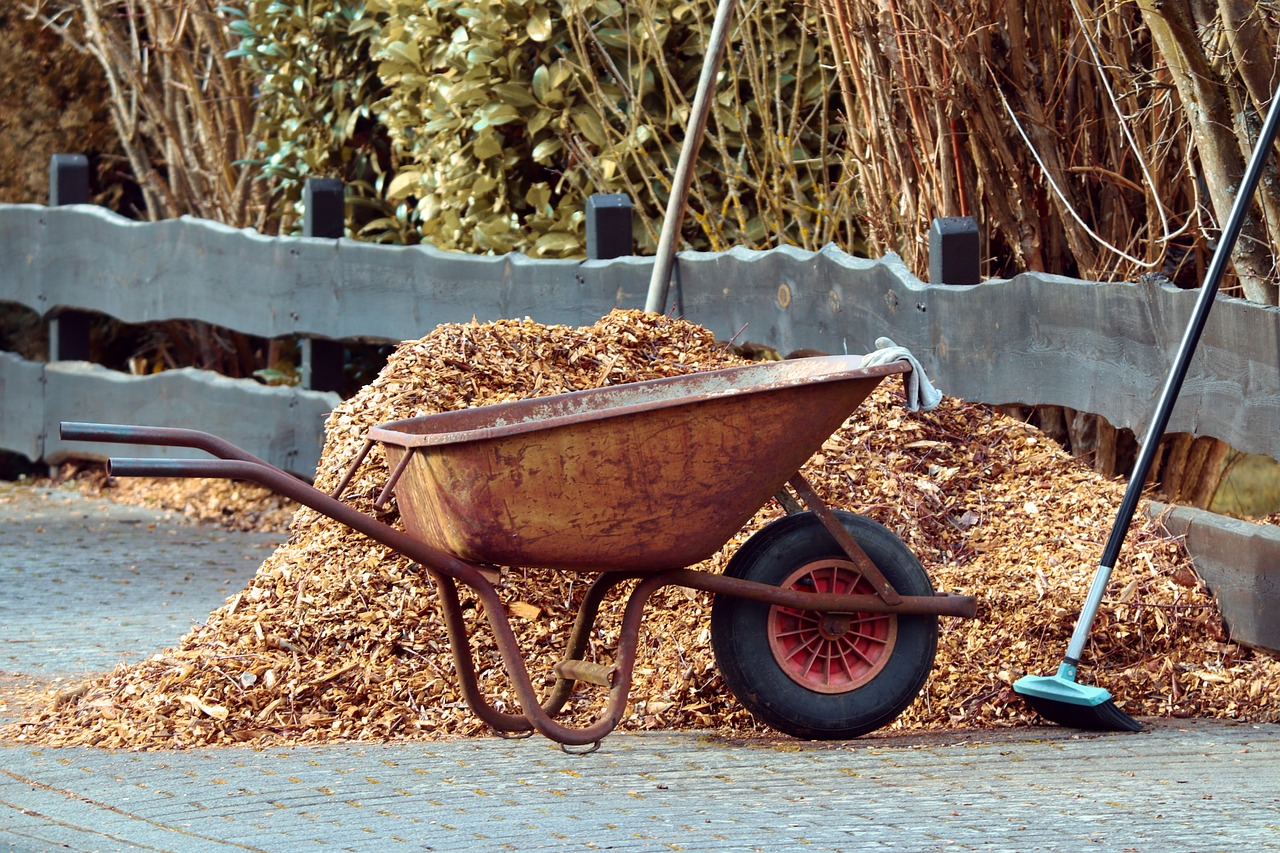 The Ultimate Guide to Mulching Trees: Boost Growth and Prevent Common Mistakes