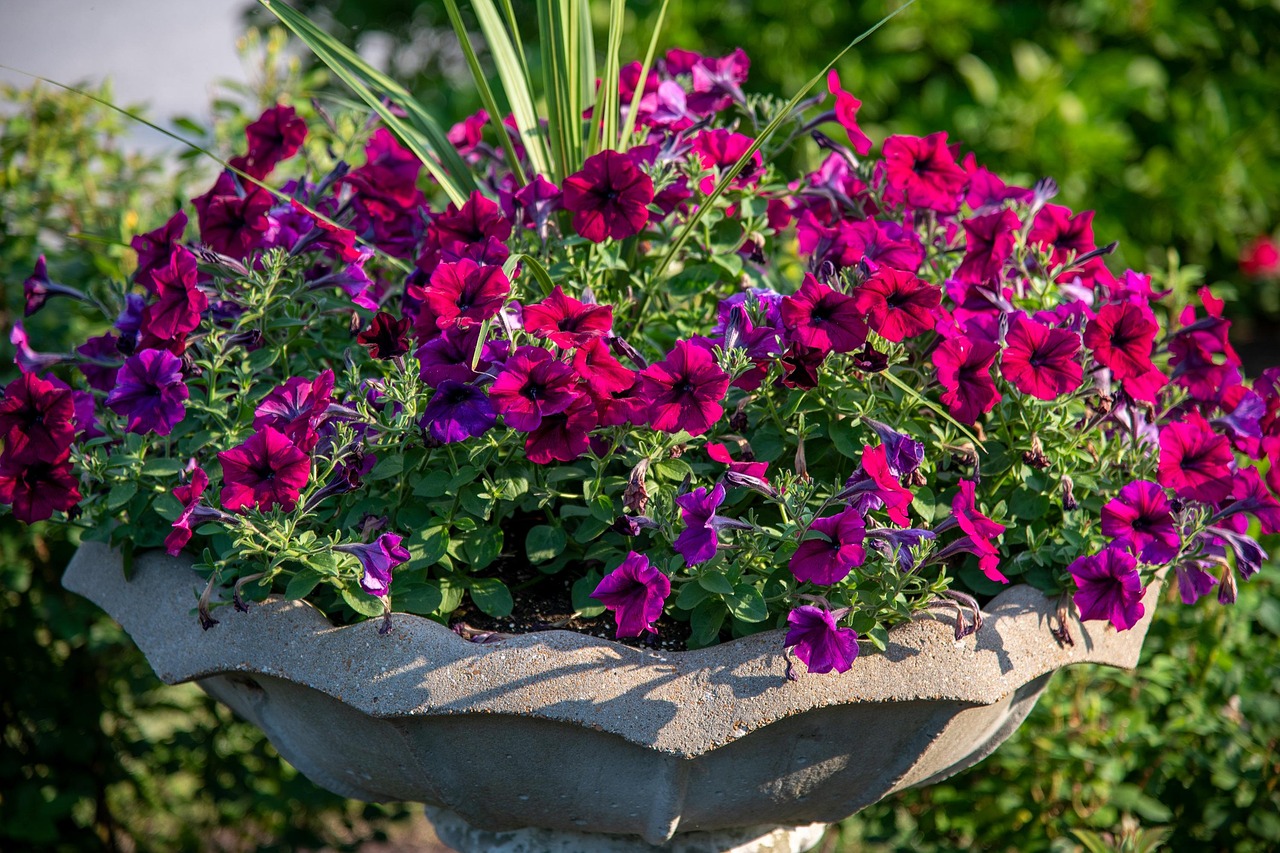 Thriller, Filler, Spiller: The Secret to Gorgeous Container Gardens