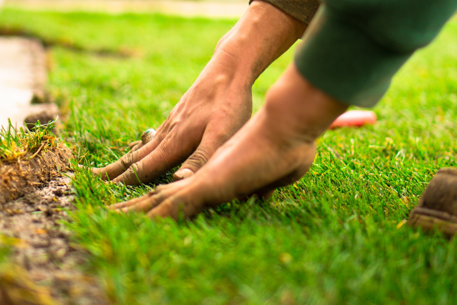 Scalped Lawns and Southern Woes: Why Your Grass Needs a Haircut, Not a Buzz Cut
