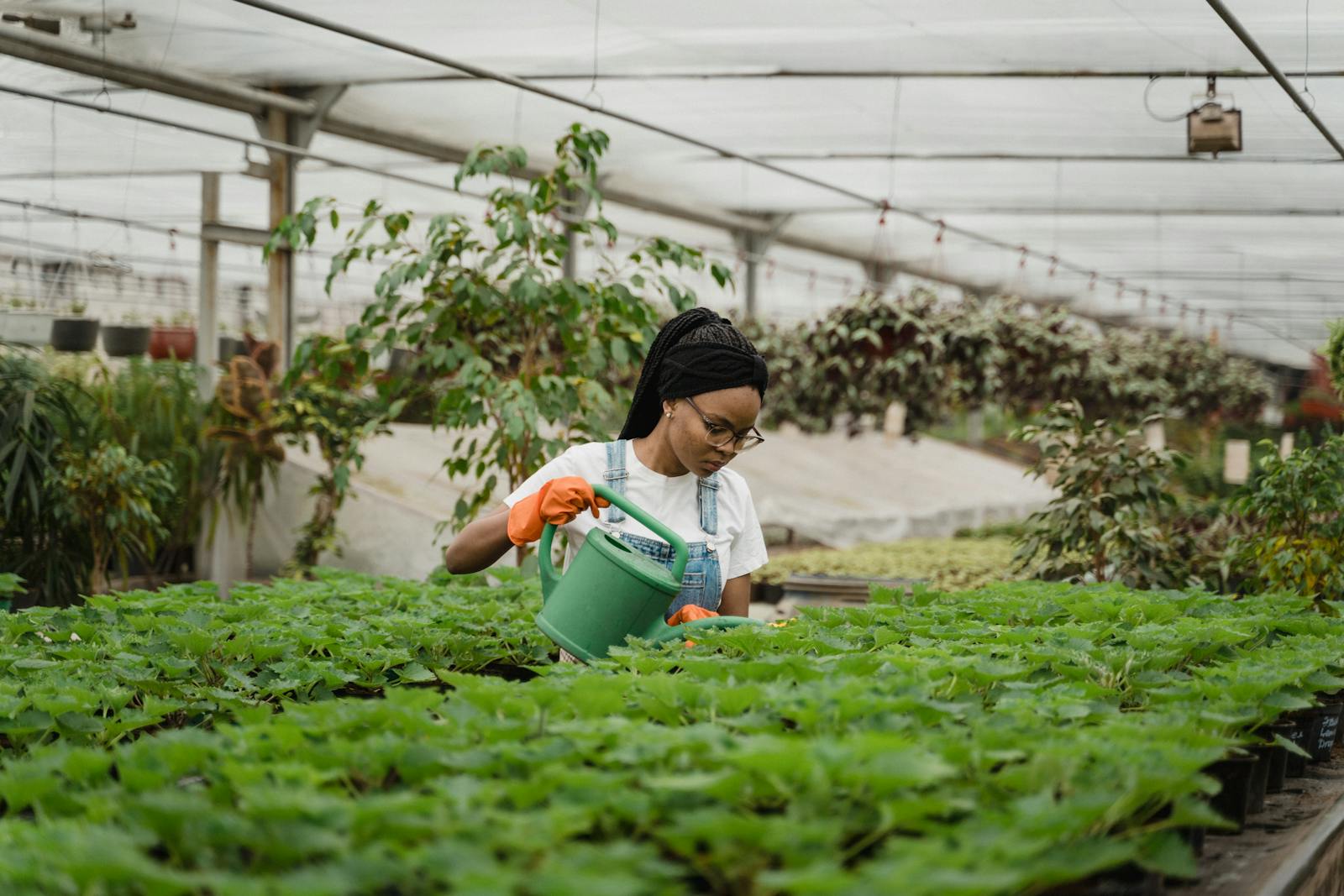 Picking Plants and Other Life Lessons