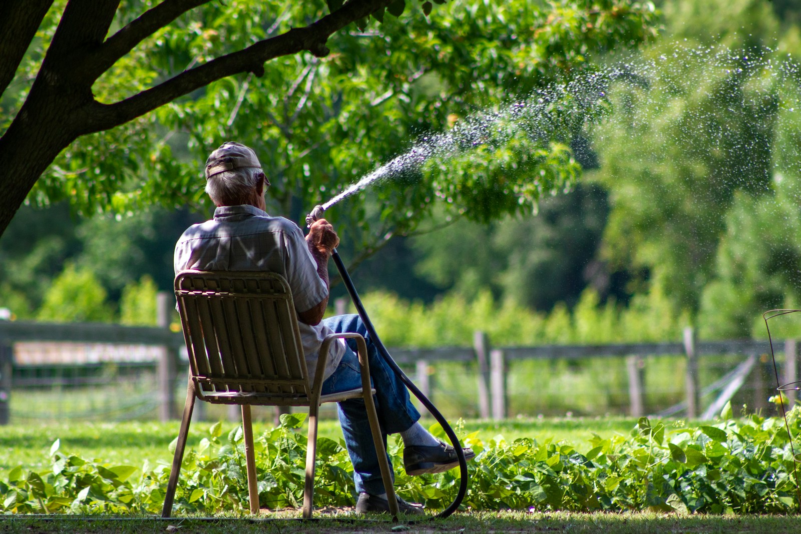 How to Water Your Lawn Effectively: Proven Techniques for a Lush Green Yard