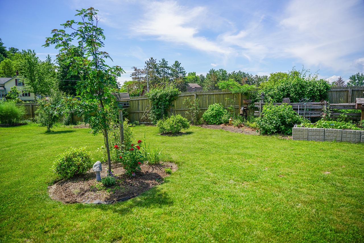 From Patchy to Plush: Master Overseeding for the Lawn of Your Dreams!
