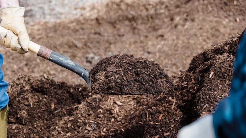 Close-up of a person shoveling compost in an outdoor garden setting, indicative of gardening or agriculture.