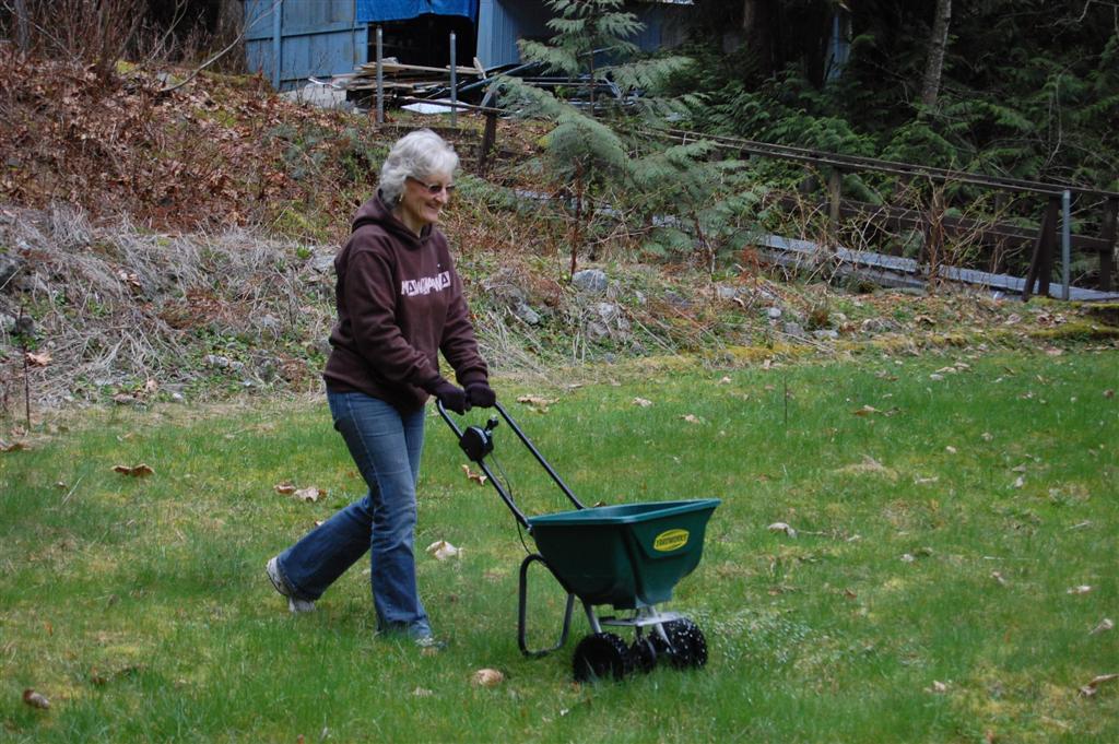 Spring Secrets: When to Fertilize Your Cool-Season Lawn for Stunning Results
