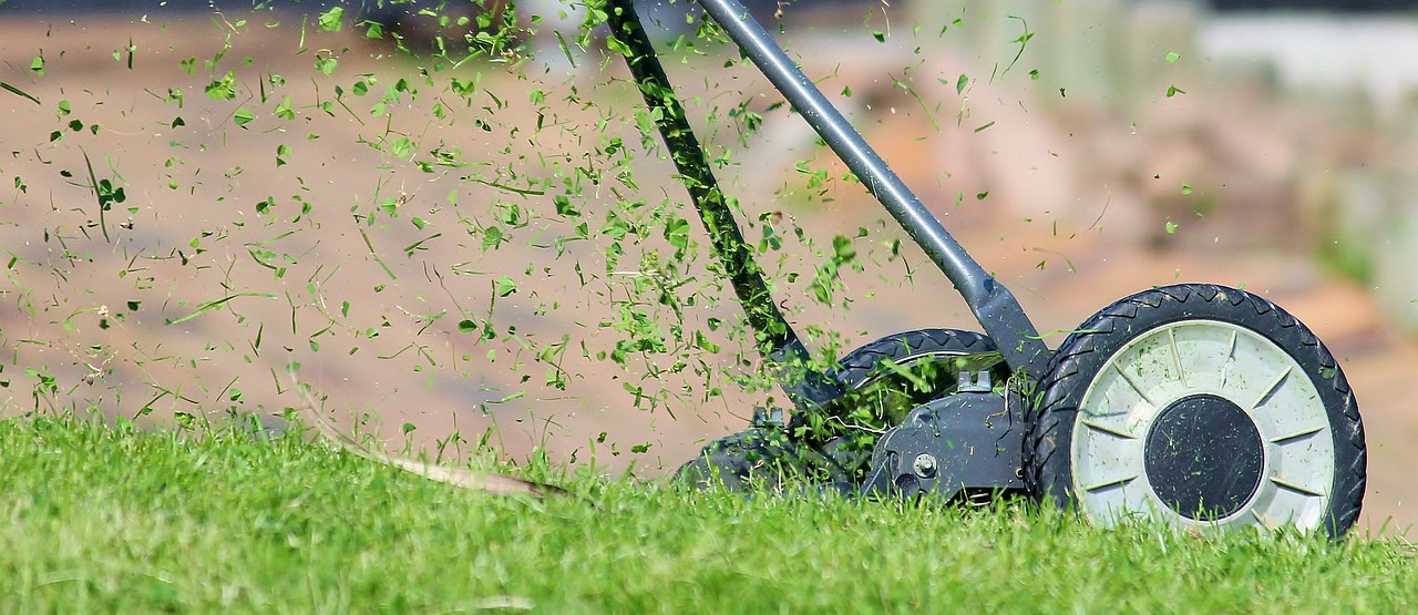 Can I Mow and Fertilize on the Same Day?