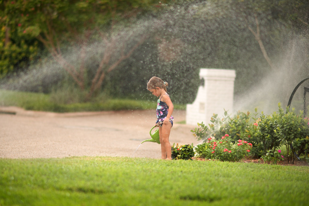 Watering the yard