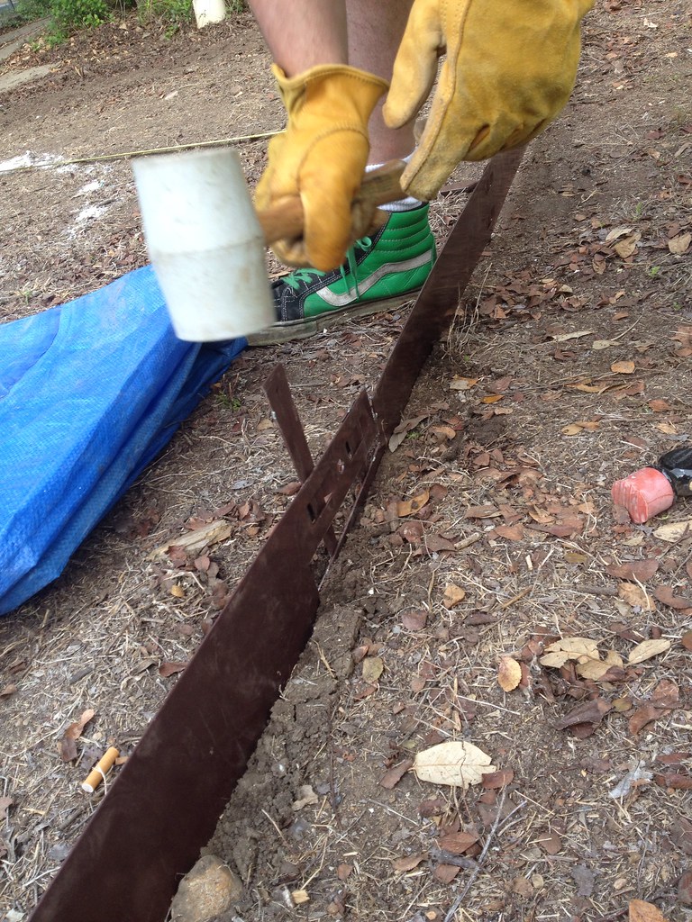 Is No-Dig Landscape Edging Worth It?