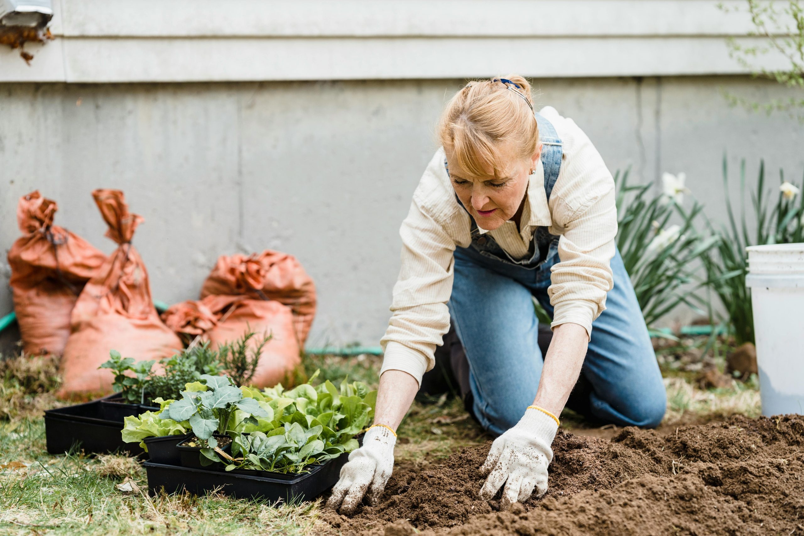 Transform Your Garden with the VEVOR 6′ x 300′ Weed Barrier Landscape Fabric