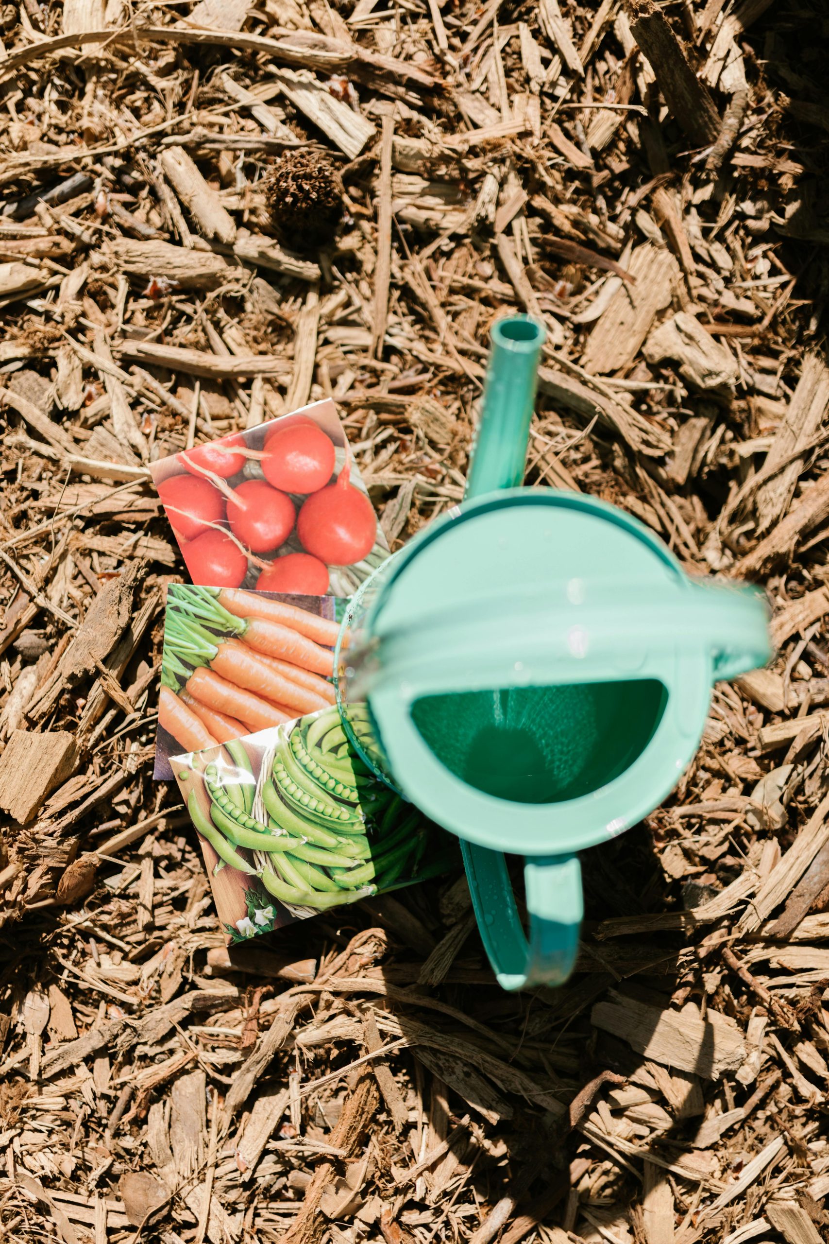 How to Choose the Right Mulch for Your Landscaping Needs
