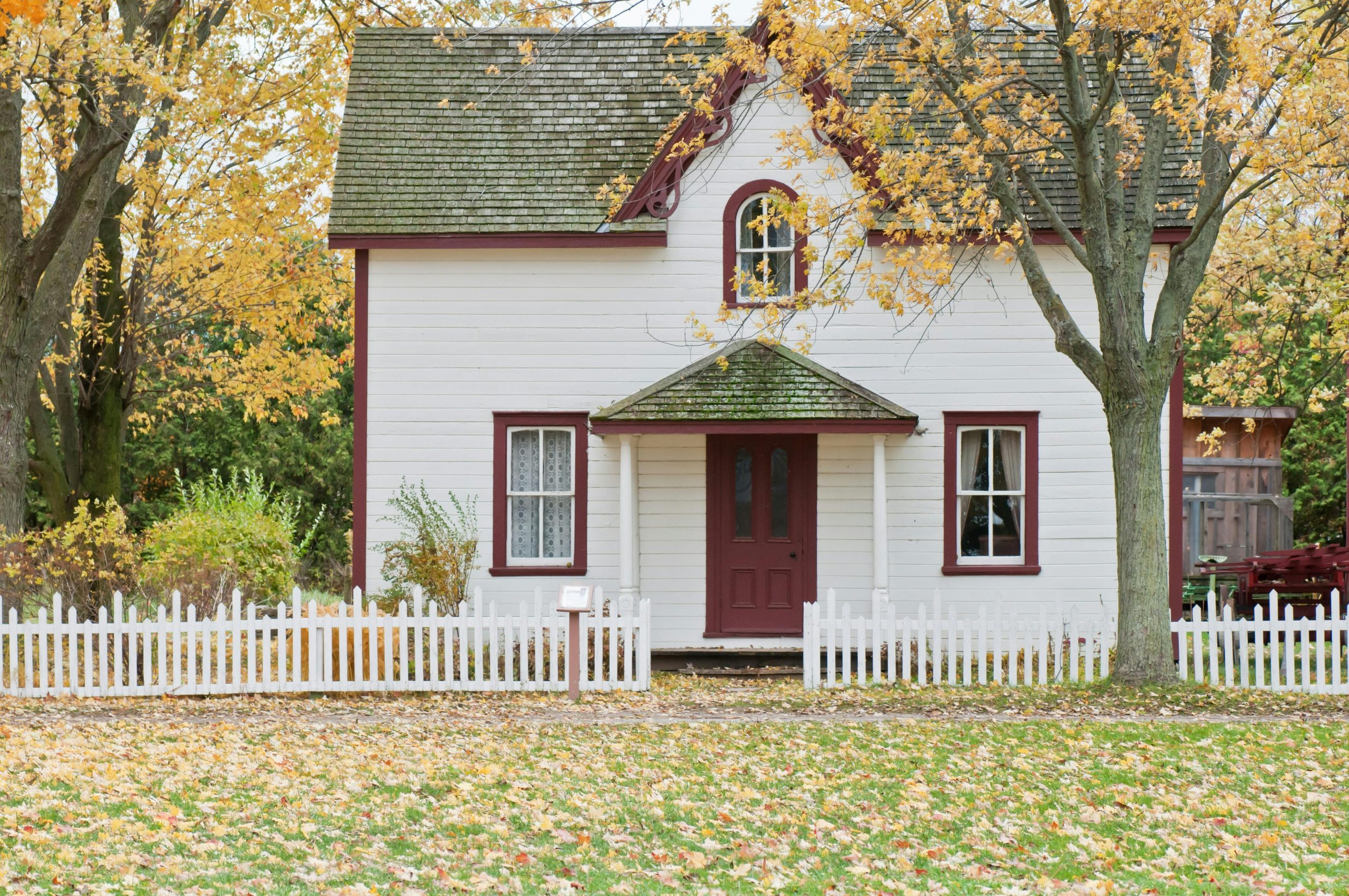 10 Low-Maintenance Landscaping Ideas for Busy Homeowners