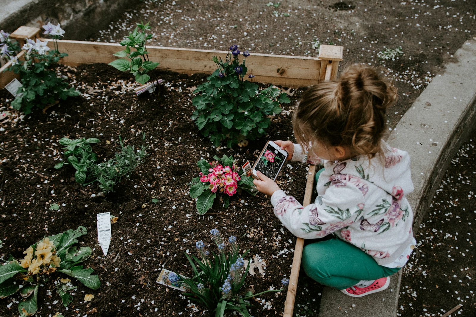 Little Hands, Big Harvest: Teaching Kids to Garden