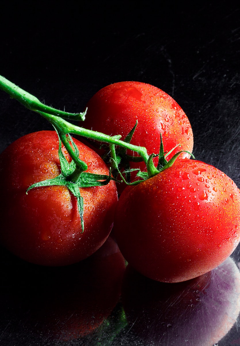 From Seed to Harvest: The Best Fertilizer for Tomatoes to Grow Your Best Crop Yet