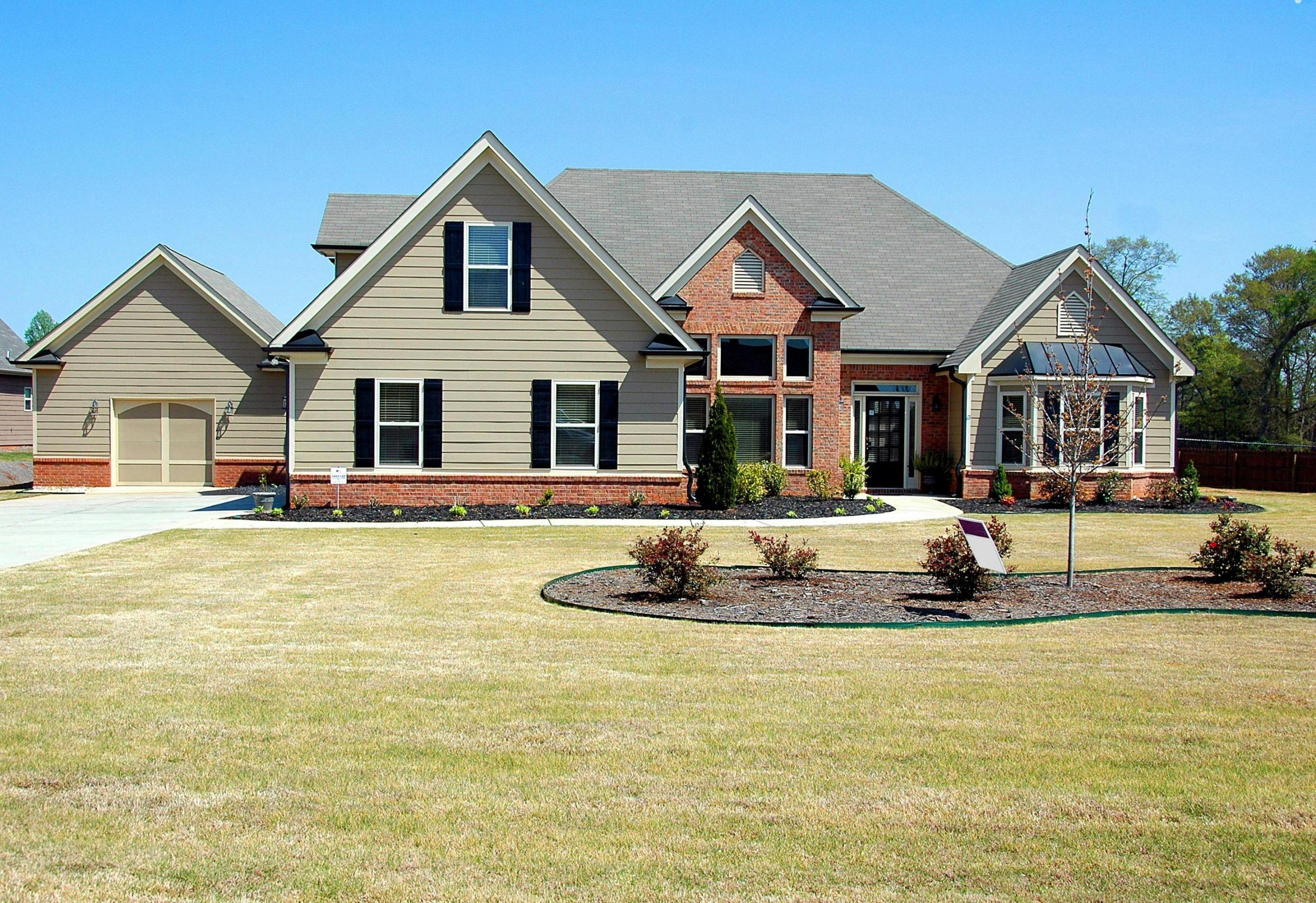 How to Reseed Your Lawn for a Greener Yard in 5 Steps