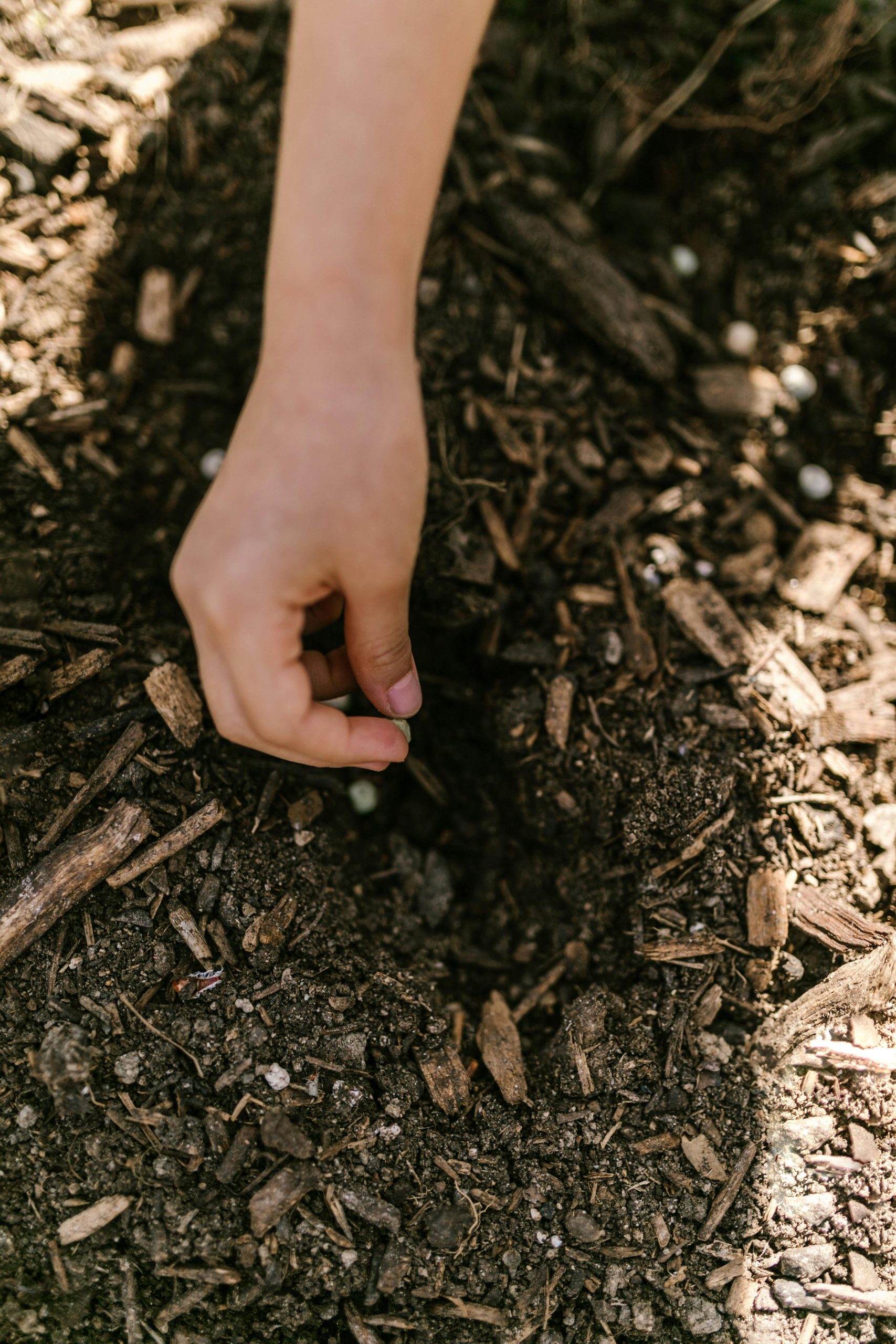 The Ultimate Guide to Choosing the Right Mulch for Your Yard