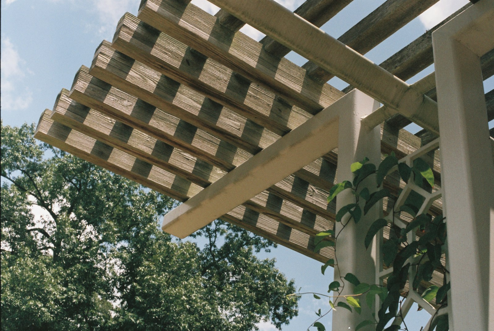 Pergolas: Practical Shade or Just Fancy Lattice?