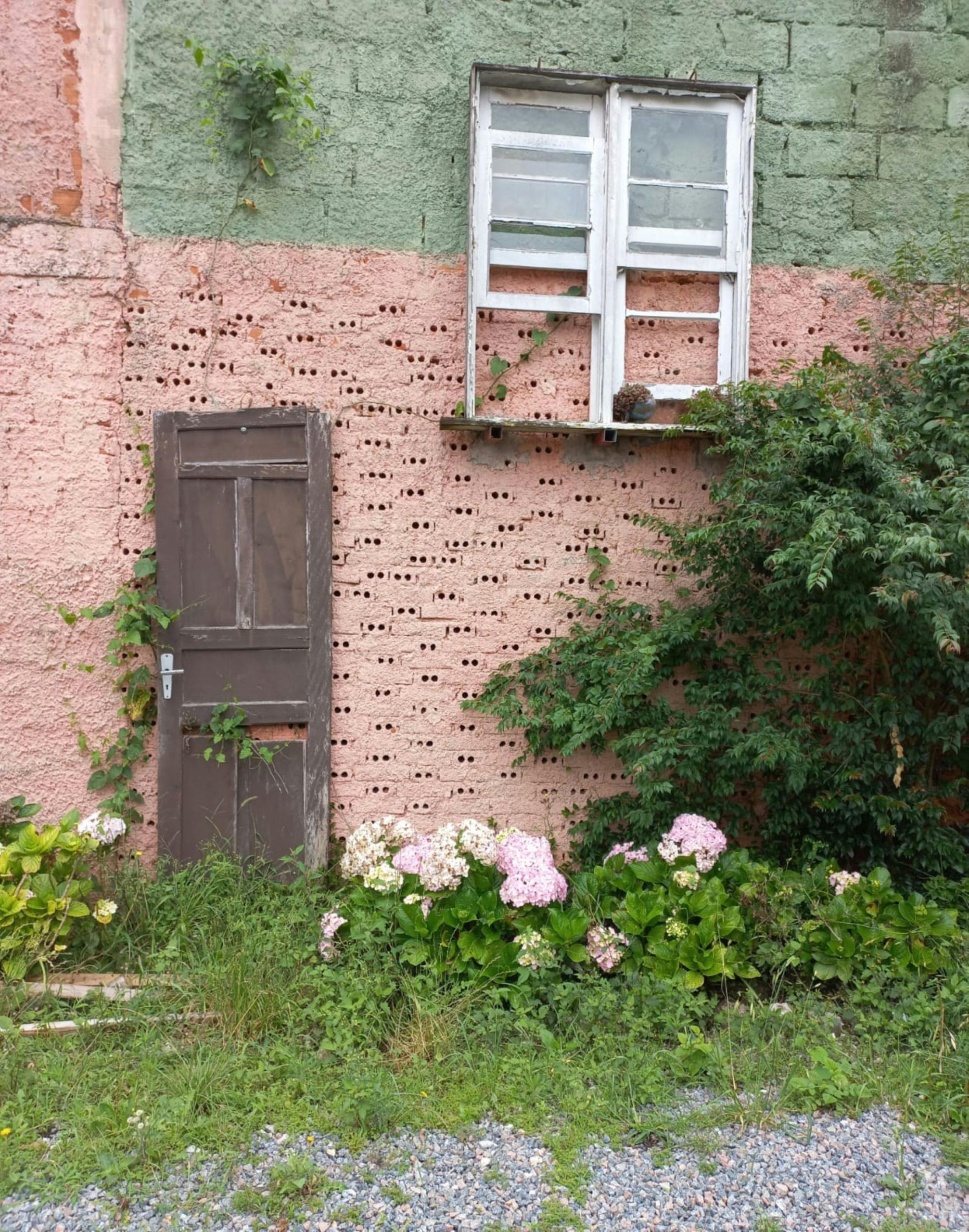 How to Restore Overgrown Flower Beds: Tools and Techniques