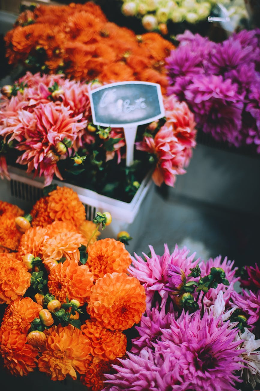 bunch of flowers in boxes on market