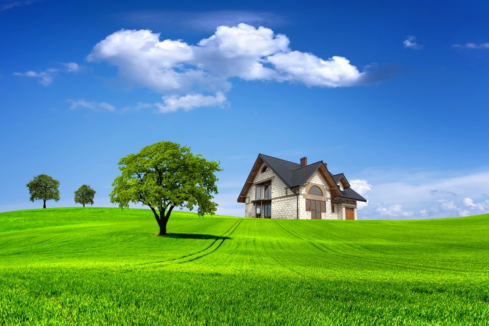 When to Apply Milorganite: The Ultimate Guide to Using This Organic Fertilizer