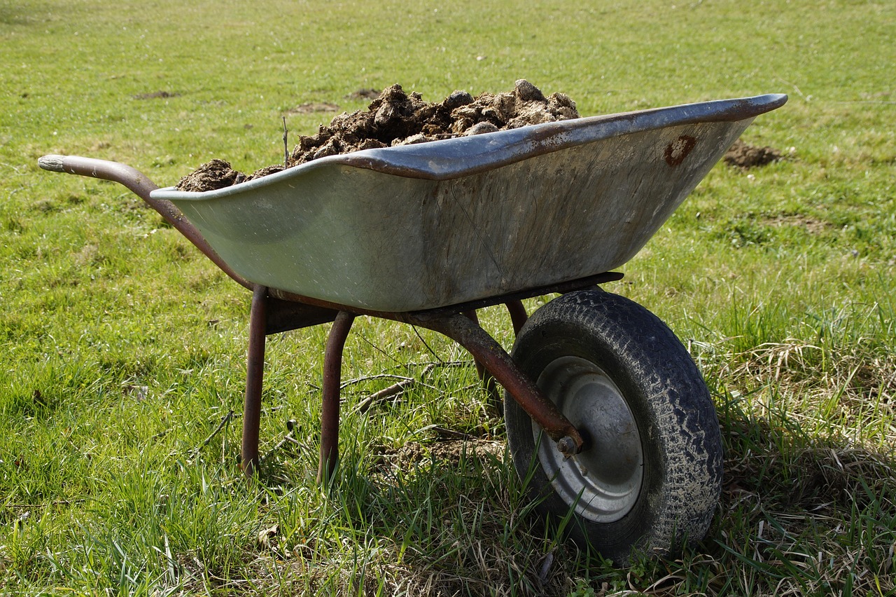 Spring Into Sprin: 5 Simple Ways to Refresh Your Yard