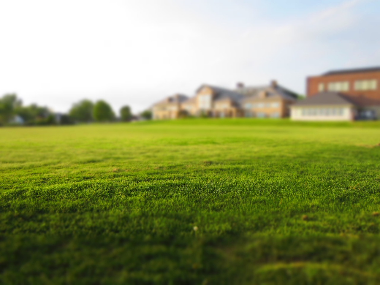 Your Yard’s Spring Wake-Up Call: 5 Genius Hacks for Instant Curb Appeal!