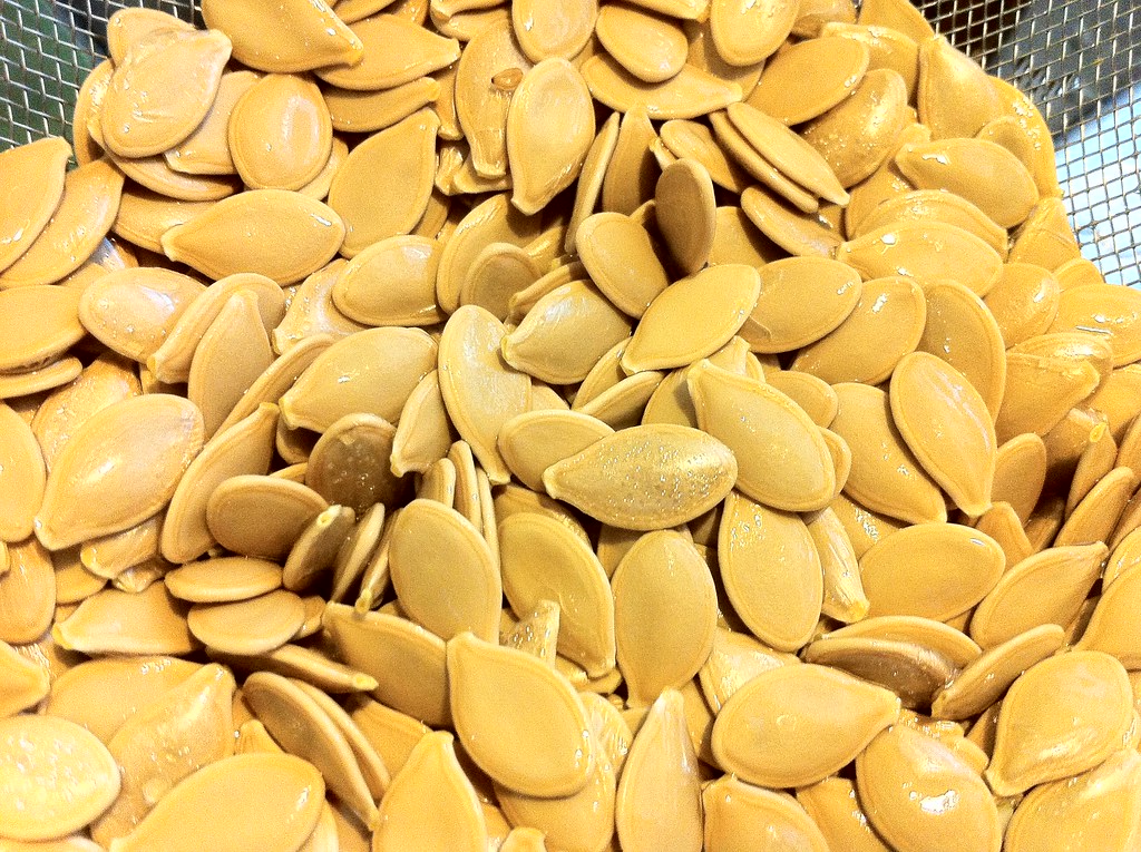Soaking Seeds: Is This Simple Step the Secret to a Better Garden?