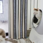 Two cats relaxing in a modern living room with an automated litter box near the window.
