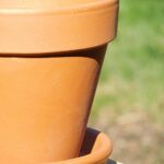 terra cotta, clay, pot, terra, beautiful flowers, cotta, flower, plant, gardening, garden, pottery, terracotta, earthenware, flower background, hobby, circular, horticulture, terra-cotta, orange, flowerpots, houseplants, planters, crocks, orange flower, orange garden, orange plant, orange gardening, orange plants, terra cotta, flower wallpaper, terra cotta, terra cotta, terra cotta, nature, terra cotta, terracotta, planters, planters, planters