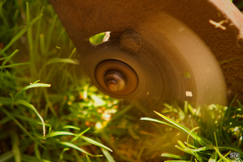 Lawn Edger
