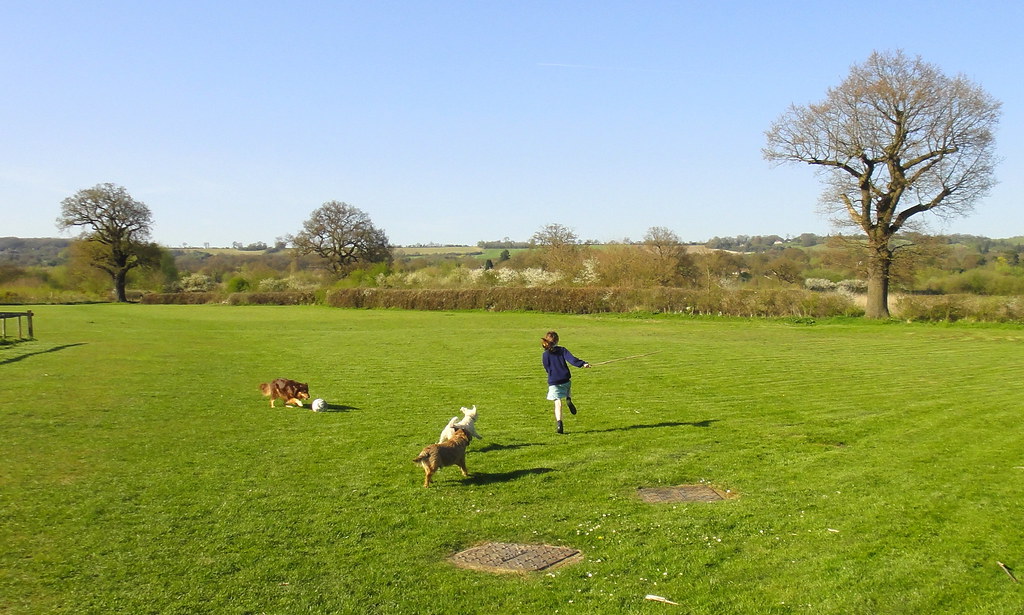 Can You Aerate Too Much? Lawn Aeration Myths and Best Practices