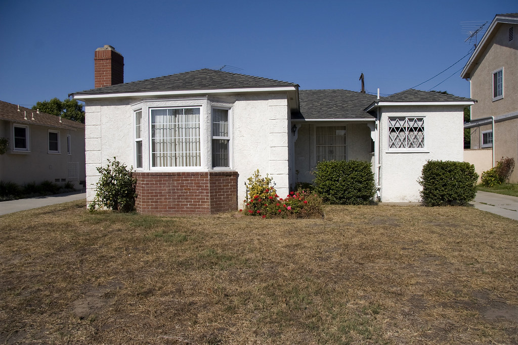 Dethatching Killed My Lawn: What Went Wrong — and How to Fix It Fast